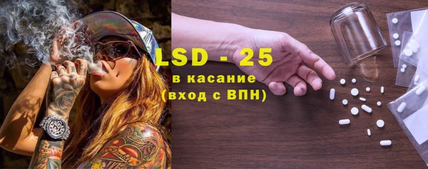 прущие грибы Алзамай