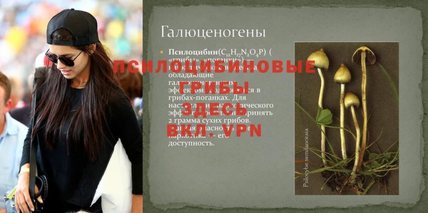 прущие грибы Алзамай