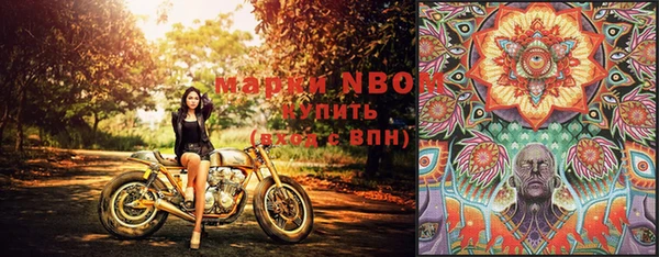 прущие грибы Алзамай