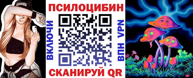 Галлюциногенные грибы MAGIC MUSHROOMS мориарти какой сайт Котельнич где найти KRAKEN ССЫЛКА